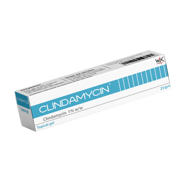 CLINDAMYCIN Topical Gel